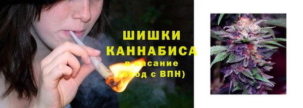 экстази Богданович