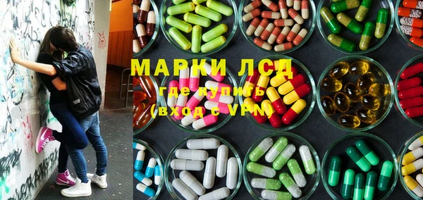 трава Арсеньев